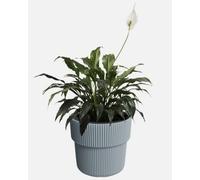 B2C Flowerpot Ridged Planter With Insert Indoor Outdoor Modern Elegant & Stylish W29.9Cm X H28.5Cm Light Grey