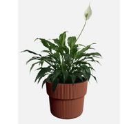 B2C Flowerpot Ridged Planter With Insert Indoor Outdoor Modern Elegant & Stylish W39Cm X H37Cm Copper