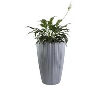 B2C Flowerpot Ridged Planter with removable insert Indoor Outdoor Modern Vertical grooves textured for home office patio garden decoration (Light Grey, W30cm x H40cm)