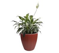 B2C Flowerpot Ridged Planter with removable insert Indoor Outdoor Modern Vertical grooves textured for home office patio garden decoration (Retro Red, W35cm x H35cm)