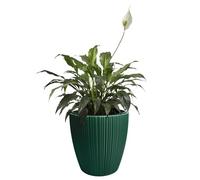 B2C Flowerpot Ridged Planter with removable insert Indoor Outdoor Modern Vertical grooves textured for home office patio garden decoration (Pine Green, W24cm x H24cm)