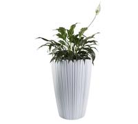 B2C Flowerpot Ridged Planter with removable insert Indoor Outdoor Modern Vertical grooves textured for home office patio garden decoration (White, W30cm x H40cm)