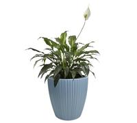 B2C Flowerpot Ridged Planter with removable insert Indoor Outdoor Modern Vertical grooves textured for home office patio garden decoration (Scandinavian blue, W40cm x H40cm)