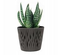 B2C Indoor Plant Pots With Insert Plastic Flowerpot Small Large Grey 26Cm