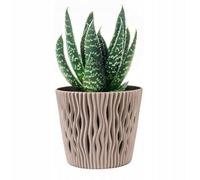 B2C Indoor Plant Pots With Insert Plastic Flowerpot Small Large Mocca 13Cm