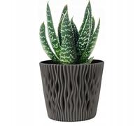 B2C Indoor Plant Pots with Insert Plastic Flowerpot Small Large Planter Home Decor Wavy Grooves Texture Removable insert (Grey, 19cm)
