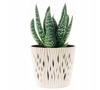 B2C Indoor Plant Pots with Insert Plastic Flowerpot Small Large Planter Home Decor Wavy Grooves Texture Removable insert (Cream, 19cm)