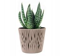 B2C Indoor Plant Pots with Insert Plastic Flowerpot Small Large Planter Home Decor Wavy Grooves Texture Removable insert (Mocca, 13cm)