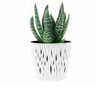 B2C Indoor Plant Pots with Insert Plastic Flowerpot Small Large Planter Home Decor Wavy Grooves Texture Removable insert (White, 22.5cm)