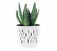 B2C Indoor Plant Pots With Insert Plastic Flowerpot Small Large White 22Cm