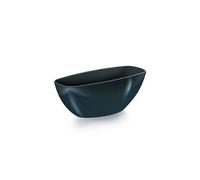 B2C Plant Orchid Pot Plastic 3 Colours Gloss Oval Planter Transparent Clear Anthracite 20Cm