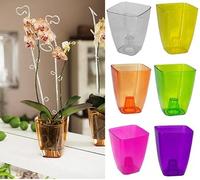 B2C Plant Orchid Pot Plastic 8 Colours Gloss Oval Planter Transparent Clear 12 cm (Purple transparent, Square)
