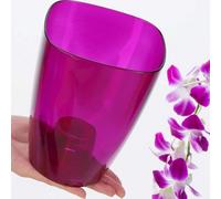 B2C Plant Orchid Pot Plastic Gloss Oval Planter 12 Cm Purple Transparent Square