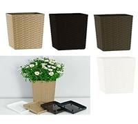 B2C Plant Pot Rattan Square Flower Modern Decorative Saucer Drainage Large Small Medium 4 colours Brown Black White Beige (21cm x 21.5cm, White)