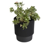 B2C Plant Pots Flower Planter 3 Colours 3 sizes Plastic Pot Modern Elegant Textured Modern Home Garden Indoor Outdoor use Convex stripes (Black, W13cm x H16cm)