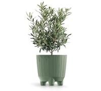 B2C Plant Pots Indoor Outdoor Plastic Flowerpot Small Medium Large RYFO 6 Colours (Earth green, 15cm)
