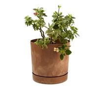 B2C Plant Pots Indoor Outdoor Plastic Marble Concrete Flowerpot Small Medium Large Tubo 5 Colours (11 cm, Terracotta)