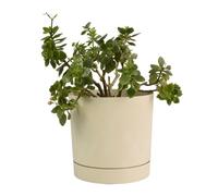 B2C Plant Pots Indoor Outdoor Plastic Marble Concrete Flowerpot Small Medium Large Tubo 5 Colours (30 cm, Cream)