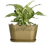 B2C Plastic Lace Oval Flower Pot with Saucer - Stylish Decorative Planter for Home & Garden, Lightweight & Durable, 27 x 13.5 x 15.5 cm (Gold)