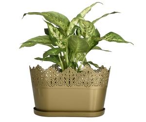 B2C Plastic Lace Oval Flower Pot with Saucer - Stylish Decorative Planter for Home & Garden, Lightweight & Durable, 27 x 13.5 x 15.5 cm (Gold)