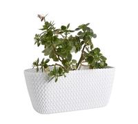 B2C Rectangular Planter Long Flower Pot Indoor Outdoor Patio Plant Case Plastic Woven Rattan knitted braided pattern Home & Garden (White, 30cm)