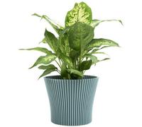 B2C Ribbed Flower Pot Planter Indoor Outdoor Plastic Modern Multiple Colours 17Cm Green Mint