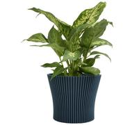B2C Ribbed Flower Pot Planter Indoor Outdoor Plastic Modern Multiple Colours 19Cm Navy Blue