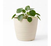 B2C Ribbed Plant Pot Plastic Flowerpot Planter Round Indoor Outdoor Cover 16Cm White Chocolate