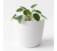 B2C Ribbed Plant Pot Plastic Flowerpot Planter Round Indoor Outdoor Cover White 16Cm
