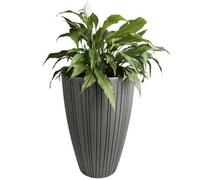 B2C Round Flower Pot Outdoor Indoor Ridged Planter Pot Textured Decorative Modern Tall W35Cm X H50Cm Lead