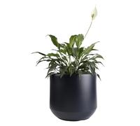 B2C Round Plant Pot Elegant Large Flower Indoor Outdoor Garden Planter Heos 36L Home Decor removable insert Large (Anthracite)