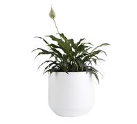 B2C Round Plant Pot Elegant Large Flower Indoor Outdoor Garden Planter Heos 36L Home Decor removable insert Large (White)