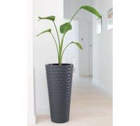 B2C Round Tall Plant Pot Elegant Large Flower Indoor Outdoor Garden Planters Diamond Anthracite H 58Cm X D 29.5Cm