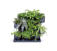B2C Vertical Standing Garden Flower Pots Cascade Balcony Anthracite Plant Wall Table Cascade