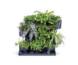 B2C Vertical Standing Garden Flower Pots Cascade Balcony Anthracite Plant Wall Table Cascade