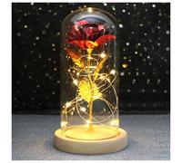 (B31) Wedding LED Enchanted Galaxy Rose With Lights In Dome Beauty and the Beast Rose