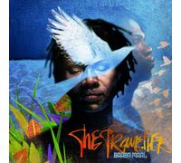 Baaba Maal The Traveller (Vinyl) 12" Album