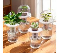 BAAQII Indoor Plant Nursery Pots Seedling Baskets Transparent Root View Cups, Hydroponic Seed Pot with Dome Lid, Small Plastic Container for Succulents Growing (4)