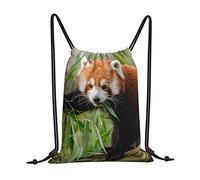 BAAROO Cute Red Panda String Swim Pe Gym Sack Drawstring Bag, Multi-Sport, Travel, Leisure, 36cm (W) x 43cm (H) x 5cm (D), Red