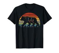 Baba Bear Retro Vintage Sunset Funny Novelty Dad T-Shirt