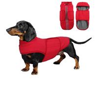 babepet Dachshund Coat Waterproof,Warm Coats & Jackets for Dogs,Miniature Dachshund Jumper,Reflective Small Dog Coat,Ideal for Outdoor&Indoor-Red-L