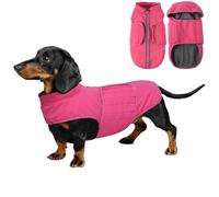 babepet Dachshund Coat Waterproof,Warm Coats & Jackets for Dogs,Miniature Dachshund Jumper,Reflective Small Dog Coat,Ideal for Outdoor&Indoor-Pink-XS
