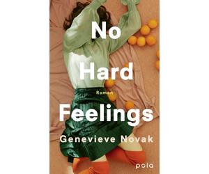 Babette Schr&ou No Hard Feelings: Roman Ehrlich, witzig, klug: Fle (Paperback)