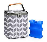 BABEYER Breast Milk Cooler Bag, Insulated Baby Bottle Bag with Ice Pack Holds 4 Bottles up to 9 Ounces, Perfect for Day Care, Travel, Nursing Moms, grey-wave, Modern