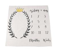 Babies Milestone Blanket, Monthly Babies Milestone Blanket, Babies Milestone Blanket for Girl Monthly Year Growth Photo Blanket, Babies Monthly Photo Prop
