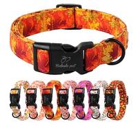 Babole Pet Dog Collar Fall Dog Collars Thansgiving Adjustable Lightweight Cotton Dog Collars for Small Medium Large Boy Girl Dogs Orange Maple Leaf L