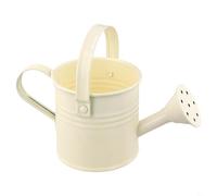 babominimer 1 pcs Watering Can,Metal Watering Can, One Gallon Watering Cans Stainless Steel for Outdoor Indoor Garden Plants Watering,Top Diameter 8cm, Bottom diameter 7cm, height 7cm(Beiges)