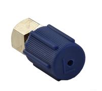 babominimer R12 to R134a A/C Charging Port Adapter Set, High and Low Pressure Quick Couplers with Blue and Red, Metal and Plastic, Compatible with Car Air(sku)