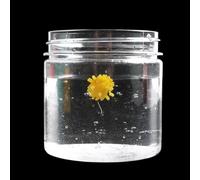 babominimer Silicone Floating Carp Fishing Boilies, Flavored Soft Lure Bait for Grass Carp, Sea Bass, Snakehead and Cockfish, Imitation Ups Pellets for Freshwater or