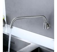 babominimer Wall Mounted Kitchen Water Purifier Tap, Stainless Steel Single Lever Hole Bathroom Faucet for Home & Commercial Use, Silver (Compatible with 20mm Hole, Bend(30cm)